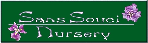 welcome to Sans Souci Nursery Home Pages