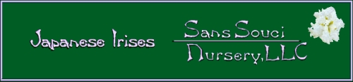Welcome to Sans Souci Nursery Japanes Iris Page